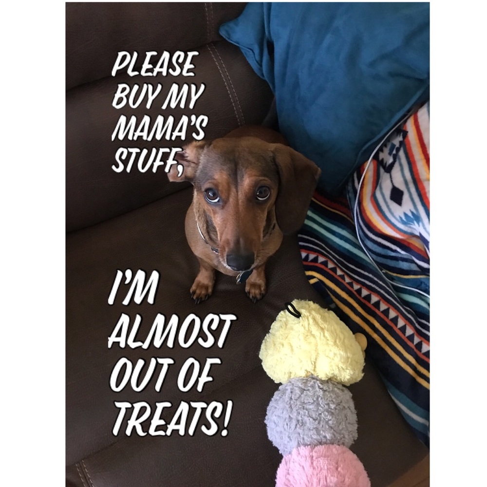 The dog 🐶 is hungry 😋